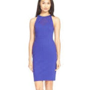 Ted Baker London Jashmee Royal Blue Mesh Inset Bodycon Party Dress Size Small